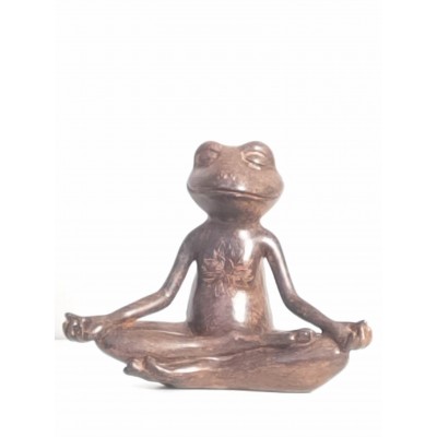 Grenouille yoga méditation